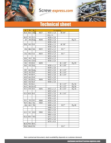 1 x Cap Smooth 25X32 LG13 Nylon RAL1020