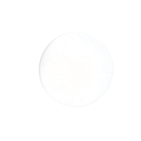 1 x Cap Plastique Head Diameter: 15 DT 3 Length 6 Ral9010/Pure White