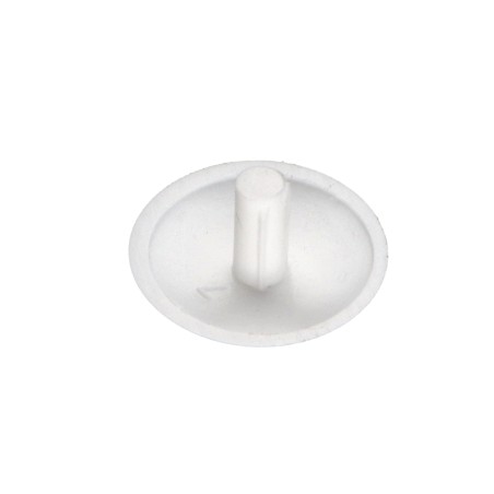 1 x Cap Plastique Head Diameter: 15 DT 3 Length 6 Ral9010/Pure White