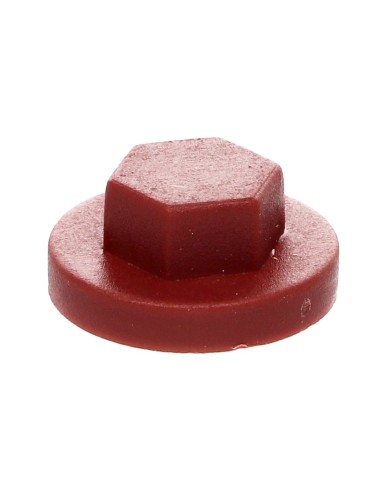 1 x Plastic cap Screw Diameter 6.3 Flat 10...