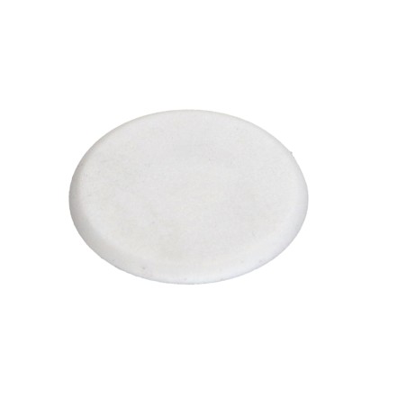 1 x Cover Cap Torx T30 Head Diameter: 17 white nylon