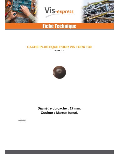 1 x Cover Cap Torx T30 Head Diameter: 17 Nylon...