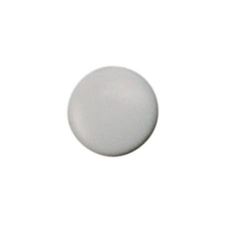 1 x Cover Cap Torx T30 Head Diameter: 17 Nylon Grey