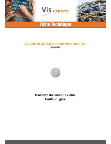 1 x Cover Cap Torx T30 Head Diameter: 17 Nylon...