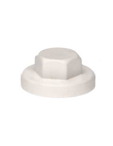 1 x Plastic cap Screw Diameter 6.3 Flat 10...