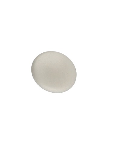 1 x Cap Plastique Phillips 2 Ral9002/Grey White...