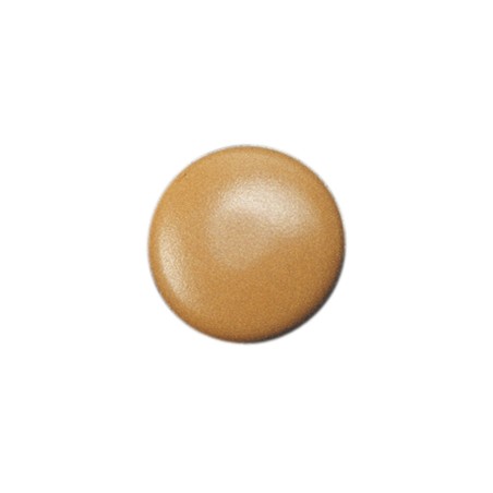 1 x Cover Cap Torx T30 Head Diameter: 17 Polyethylene Brown CLAI