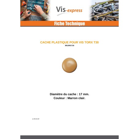 1 x Cover Cap Torx T30 Head Diameter: 17 Nylon Brown CLAI