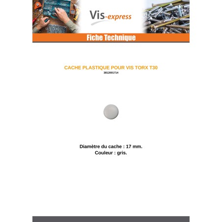 1 x Cover Cap Torx T30 Head Diameter: 17 Nylon Grey