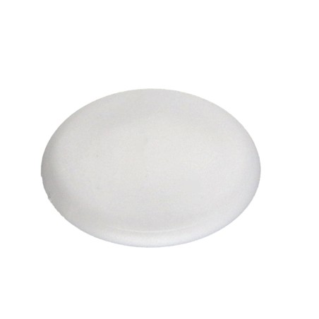 1 x Cover Cap Countersunk Head Torx T30 Head Diameter: 16.5 White polyethylene
