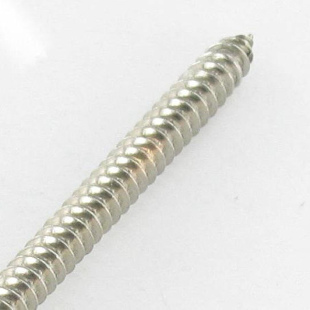 1 x Thread Rolling Screw Large Pan Head Phillips 4.2X22 Stainless Steel A2