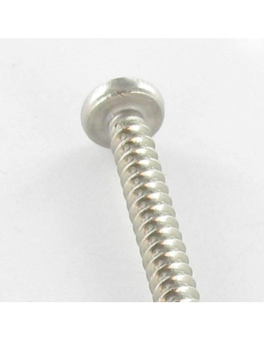 1 x Thread Rolling Screw wide domed head...