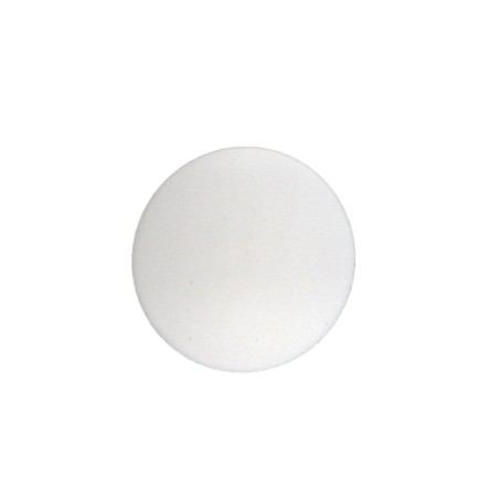 1 x Cap Plastique Head Diameter: 15 DT 3 Length 6 Ral9010/Pure White