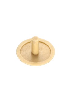 Cap Plastique Head Diameter: 15 DT 3 Length 6 Ral1001/Beige 2