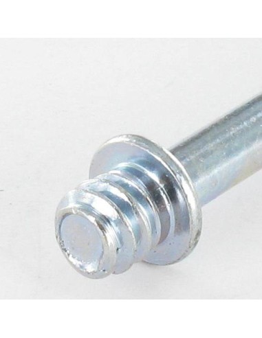1 x PAWS to Wood Screws Zinc Plated 7X80