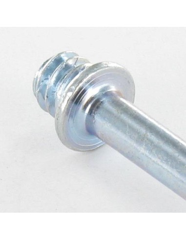 1 x PAWS to Wood Screws Zinc Plated 7X80