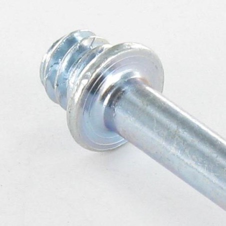 1 x PAWS to Wood Screws Zinc Plated 7X50