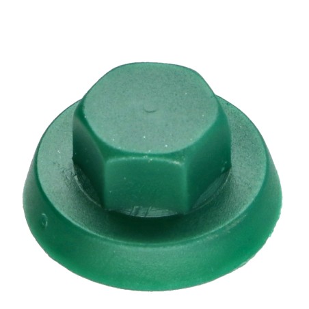 1 x Plastic cap Screw Diameter 6.3 Flatbed 10 RAL6028