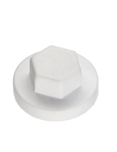 1 x Plastic cap Screw Diameter 6.3 Flatbed 10...