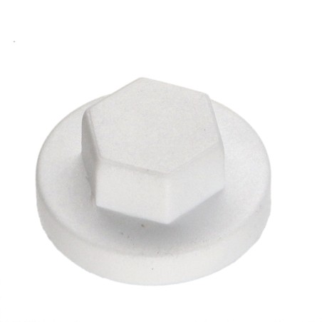 1 x Plastic cap Screw Diameter 6.3 Flatbed 10 Ral9010/Pure White
