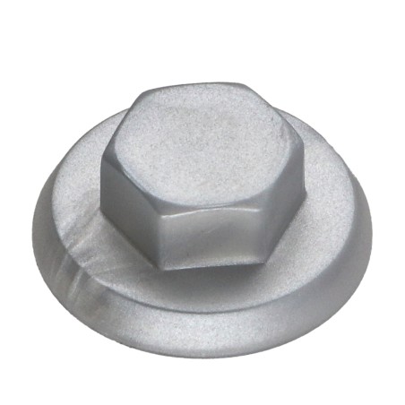 1 x Plastic cap Screw Diameter 4.8-5.5 Flat 8 Ral9006/White Aluminium