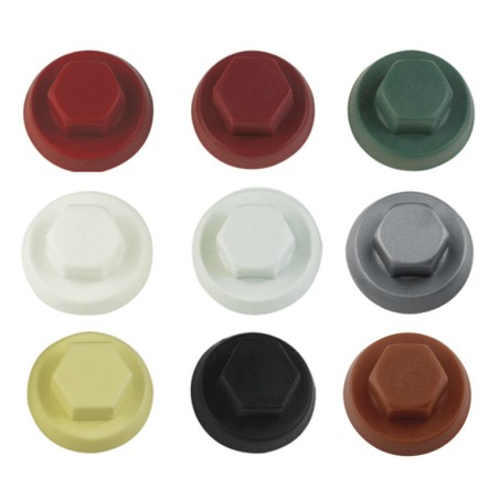 1 x Plastic cap Screw Diameter 6.3 Flat 10 RAL3003