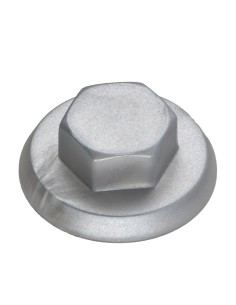 Plastic cap Screw Diameter 6.3 Flatbed 10 Ral9006/White...