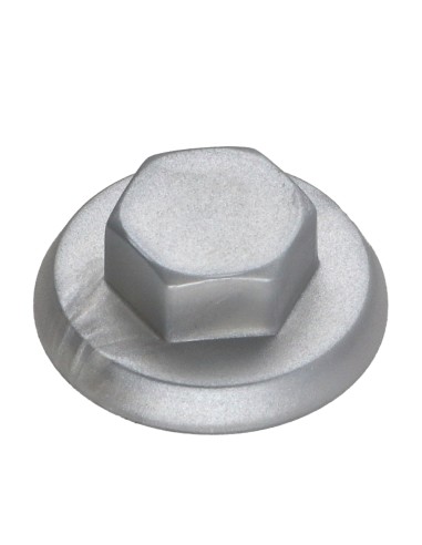 1 x CAP Polyethylene Screw Diameter 6.3 Flatbed...