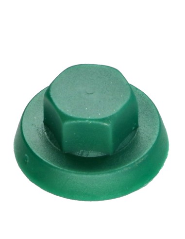 1 x Plastic cap Screw Diameter 4.8-5.5 Flat 8...