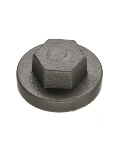 1 x Plastic cap Screw Diameter 6.3 Flat 10...