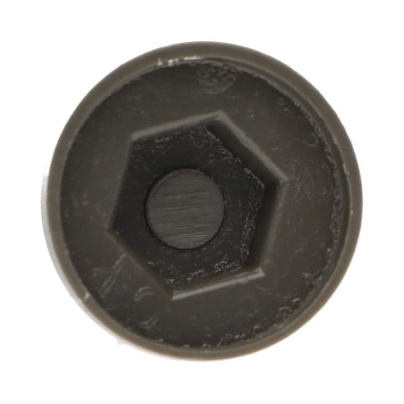 1 x Plastic cap Screw Diameter 6.3 Flatbed 10 Ral7022/Umber Grey