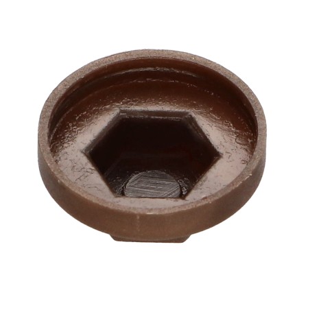 1 x Plastic cap Screw Diameter 6.3 Flatbed 10 Ral8014/Sepia Brown