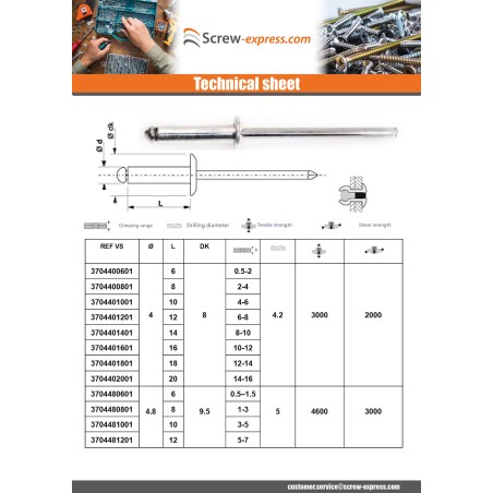 1 x Rivet Steel/ steel ZING 4.8X30 Thickness Of Panel 20 to 25 Flat Head