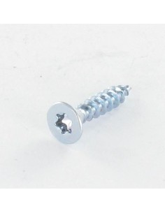 Chipboard Screw Countersunk Head T20 4X20 Zinc Plated
