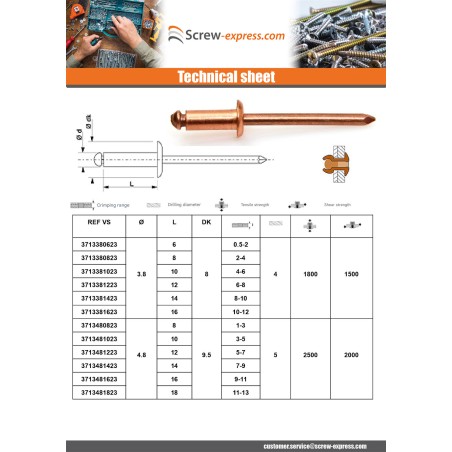 1 x Rivet Standard round head copper steel rod 3.2X6 Thickness Of Panel 1 to 3