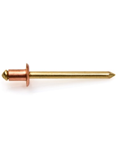 1 x Rivet Cover Brass TRS 3.8X6