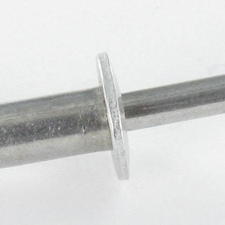 1 x Rivet Blind GOLIGHT ALU/ALU TRS 4X25