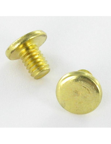 1 x SHUTTER Brass Plated Steel Flat Head 4.3X6 T9