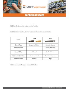 Bit Industrial quality 1/4" E6.3 Pozi N°2 Length 50 2