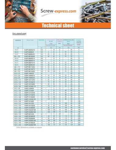 1 x Stud Anchor R-Xpt M16X100 Zinc Plated