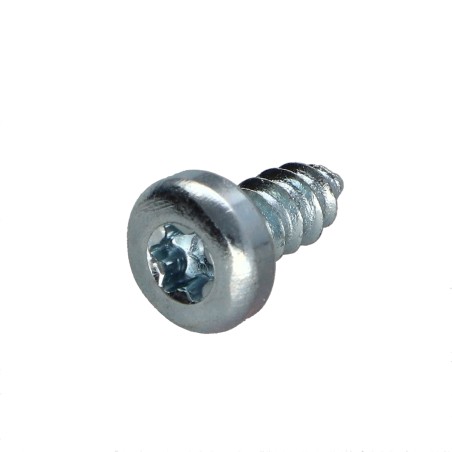 1 x Thread Rolling Screw wide domed head T10 2.9X19 Zinc Plated