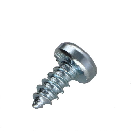 1 x Thread Rolling Screw wide domed head T10 2.9X19 Zinc Plated
