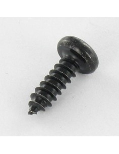 Thread Rolling Screw Pan Head 4.2X13 T20 Black Zinc Plated 2