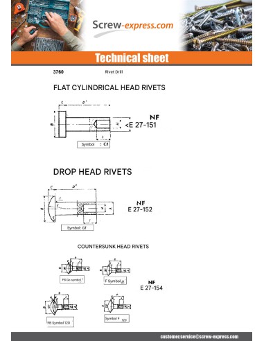 1 x Rivet FORES Zinc Plated Cheese Head 5X58