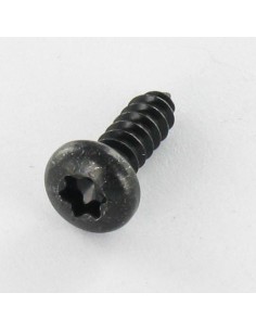 Thread Rolling Screw Pan Head T10 2.9X6.5 Black Zinc Plated