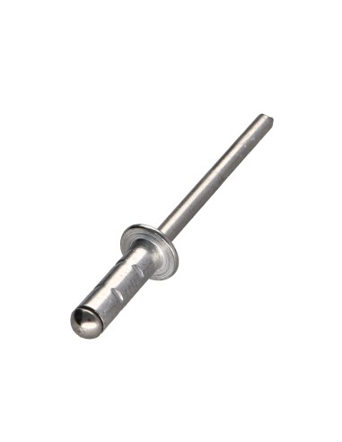1 x Rivet Aluminum body / Stainless steel rod...