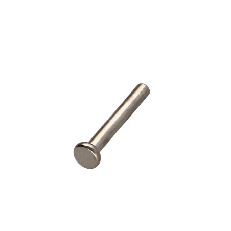 1 x Rivet FORES Flat Head 3X21 Nickel Plated
