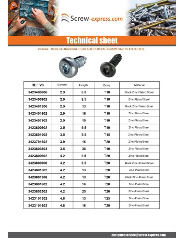 1 x Thread Rolling Screw Pan Head 4.2X16 T20...