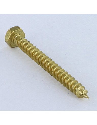1 x Coach Screws/Hexagonal Head Wood Brass 6X60...