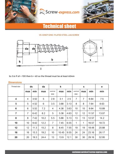 1 x Coach Screws/Hexagonal Head Wood Brass 6X60...